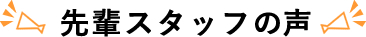 先輩スタッフの声